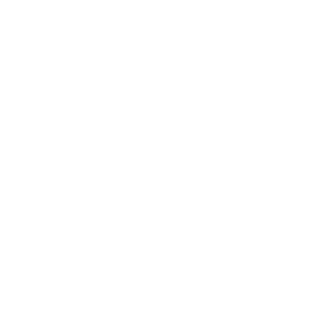 Playfly Logo Thumbnail